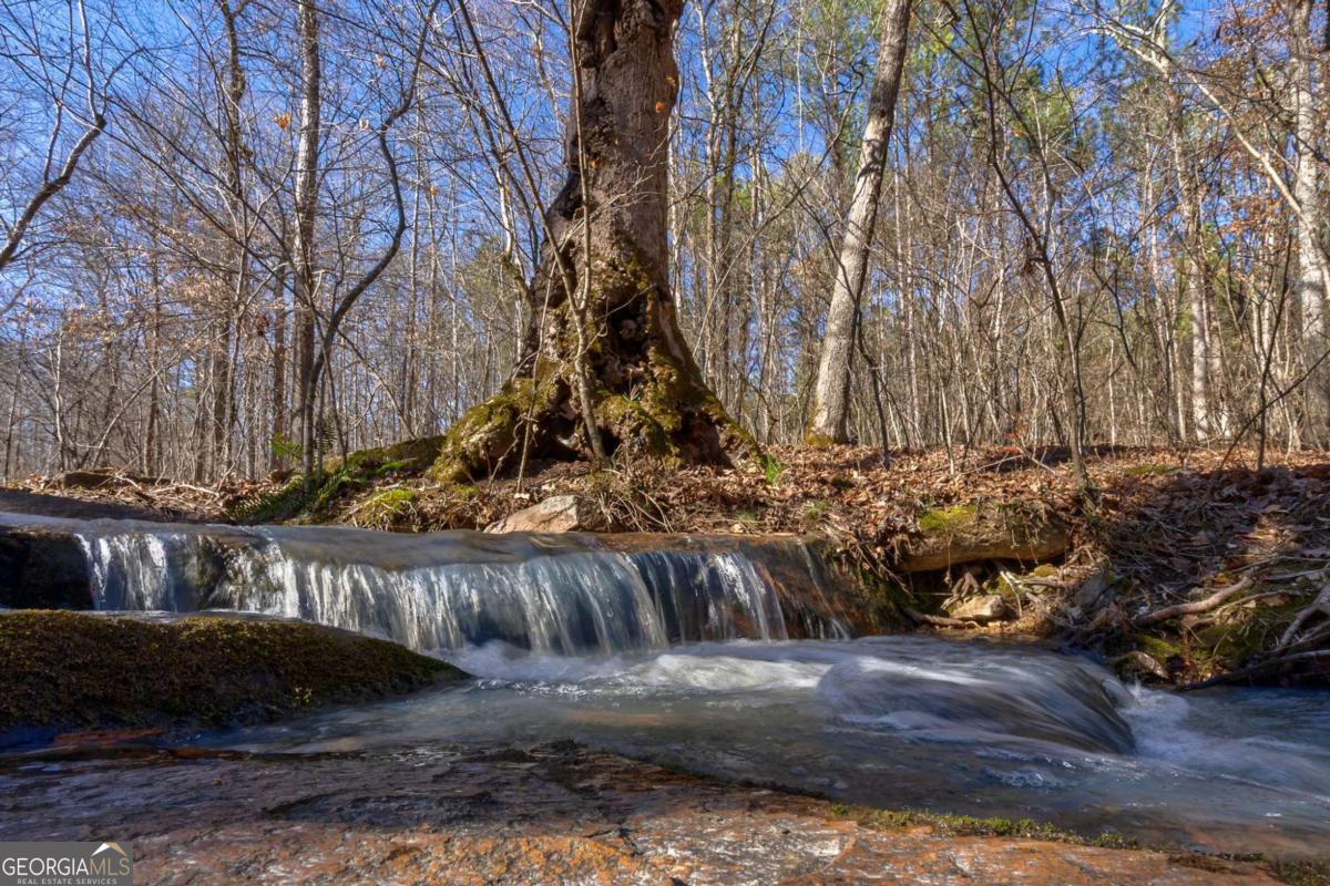 626 Ruffs Road Carlton, GA 30627 - Photo 45 of 83