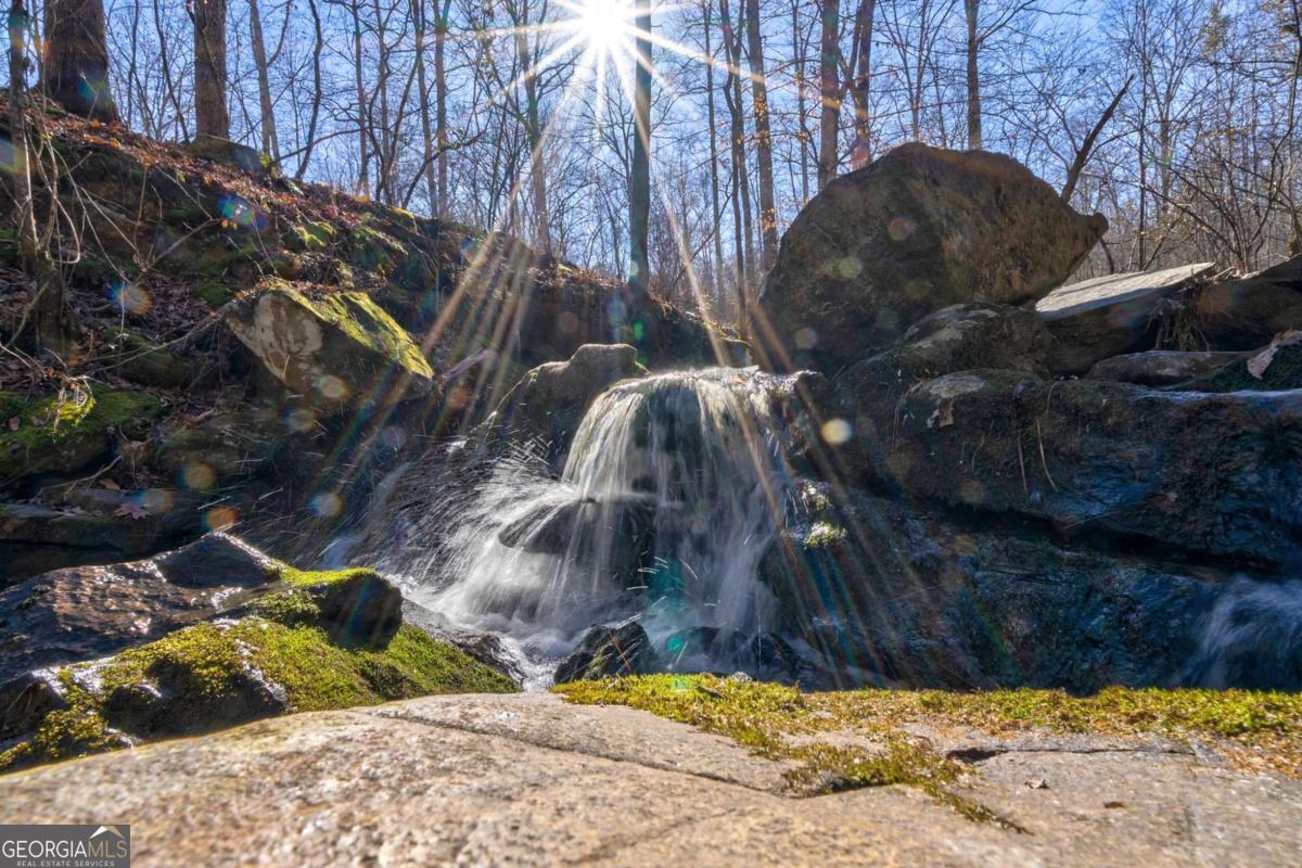 626 Ruffs Road Carlton, GA 30627 - Photo 46 of 83