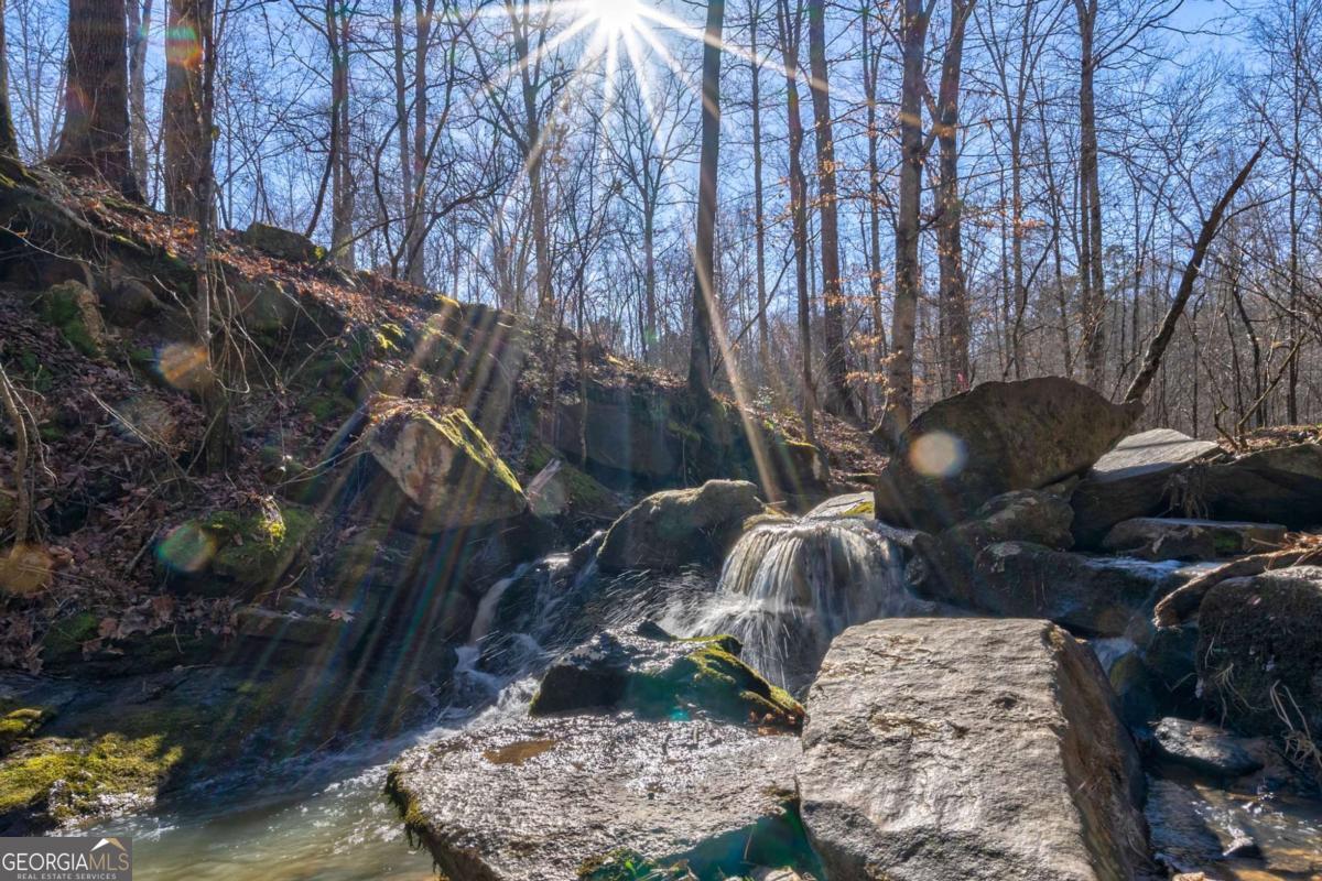 626 Ruffs Road Carlton, GA 30627 - Photo 49 of 83