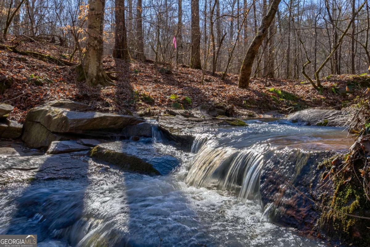 626 Ruffs Road Carlton, GA 30627 - Photo 50 of 83
