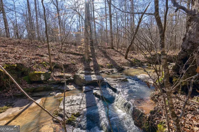 $878,500 | 626 Ruffs Road, Carlton, GA 30627