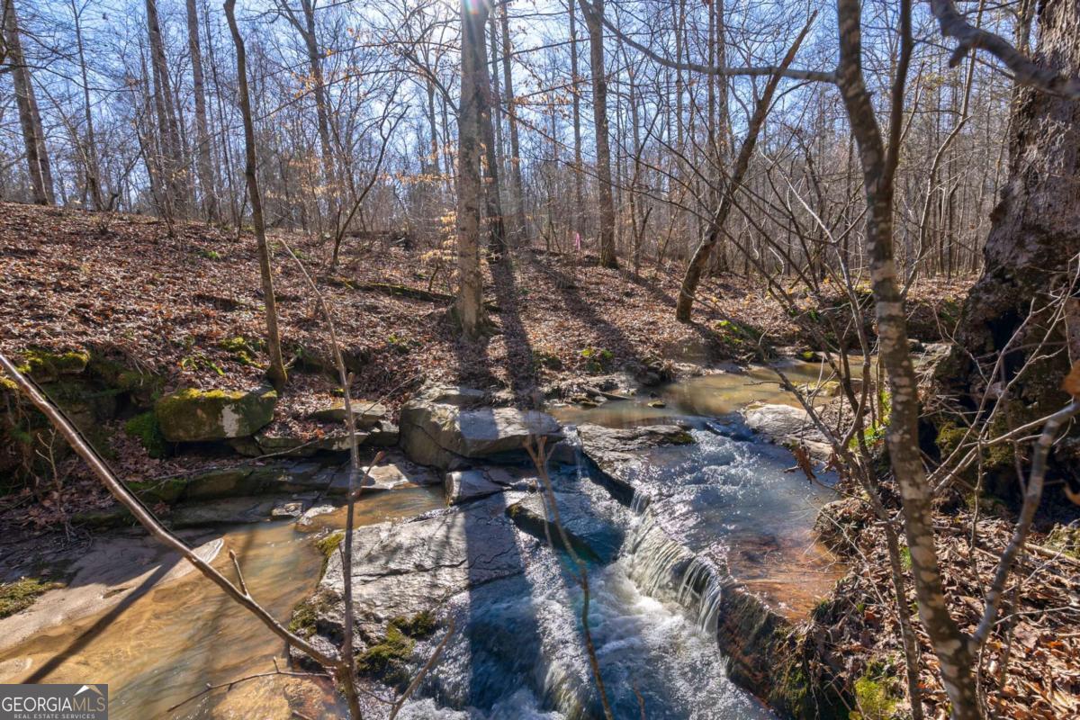 626 Ruffs Road Carlton, GA 30627 - Photo 51 of 83