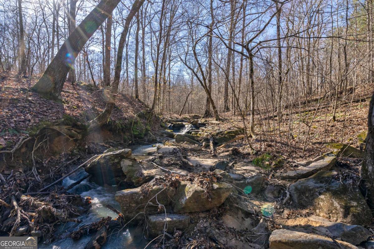 626 Ruffs Road Carlton, GA 30627 - Photo 53 of 83