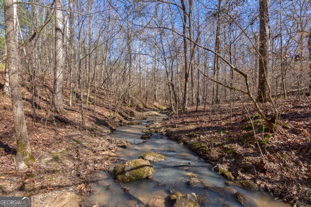 626 Ruffs Road Carlton, GA 30627 - Photo 54 of 83