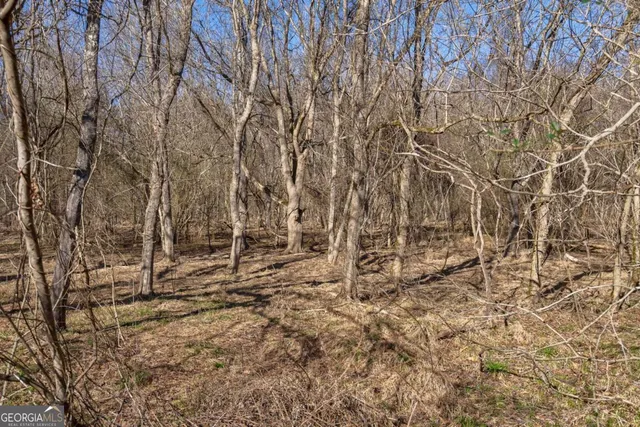 $878,500 | 626 Ruffs Road, Carlton, GA 30627