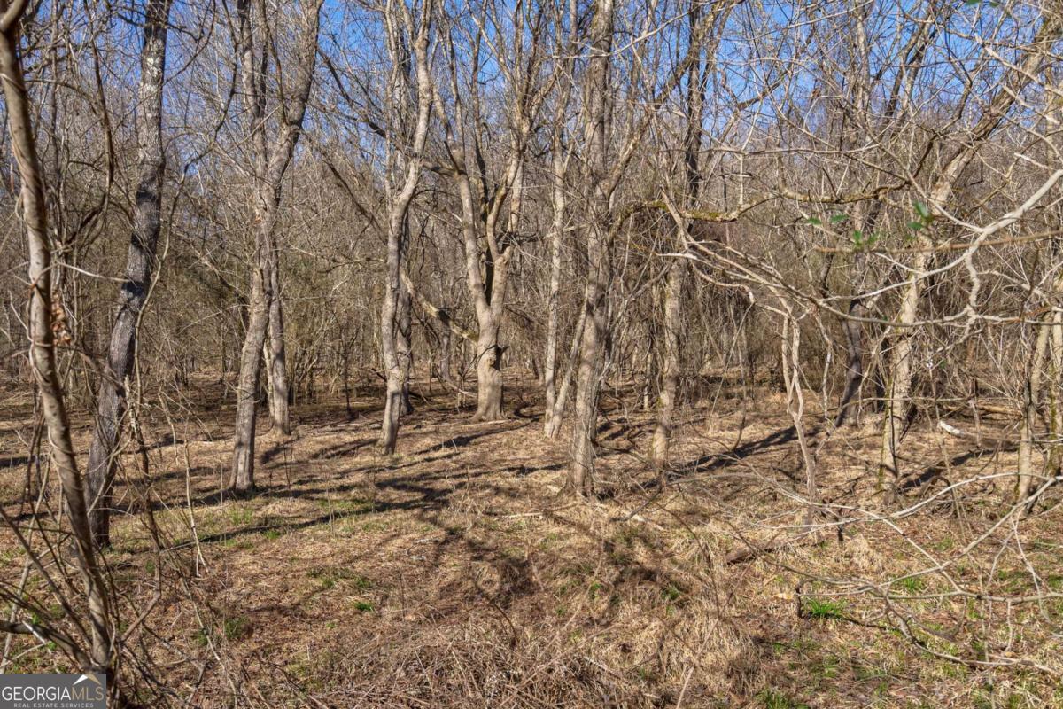 626 Ruffs Road Carlton, GA 30627 - Photo 56 of 83