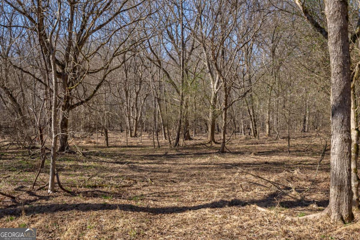 626 Ruffs Road Carlton, GA 30627 - Photo 57 of 83