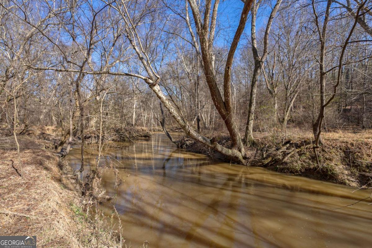 626 Ruffs Road Carlton, GA 30627 - Photo 58 of 83