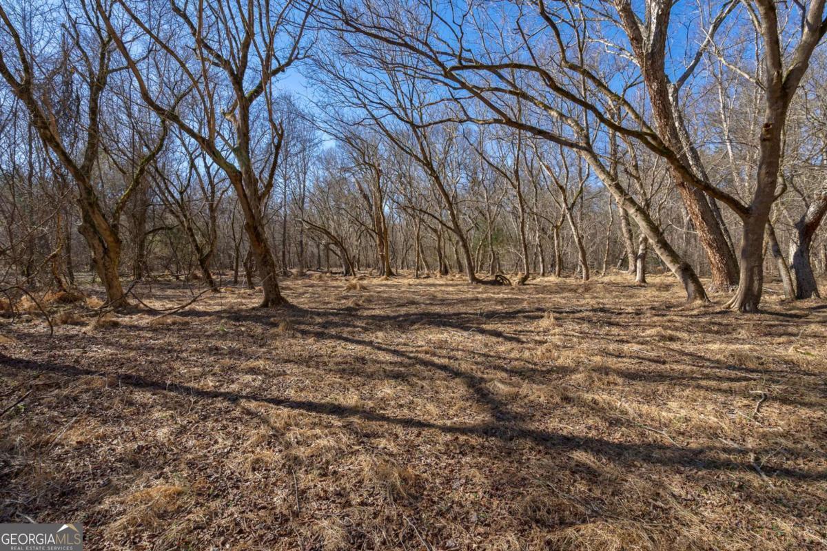 626 Ruffs Road Carlton, GA 30627 - Photo 59 of 83