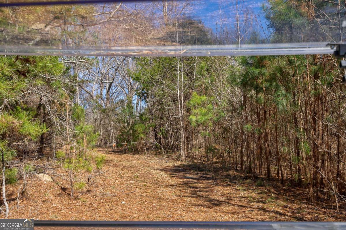 626 Ruffs Road Carlton, GA 30627 - Photo 6 of 83