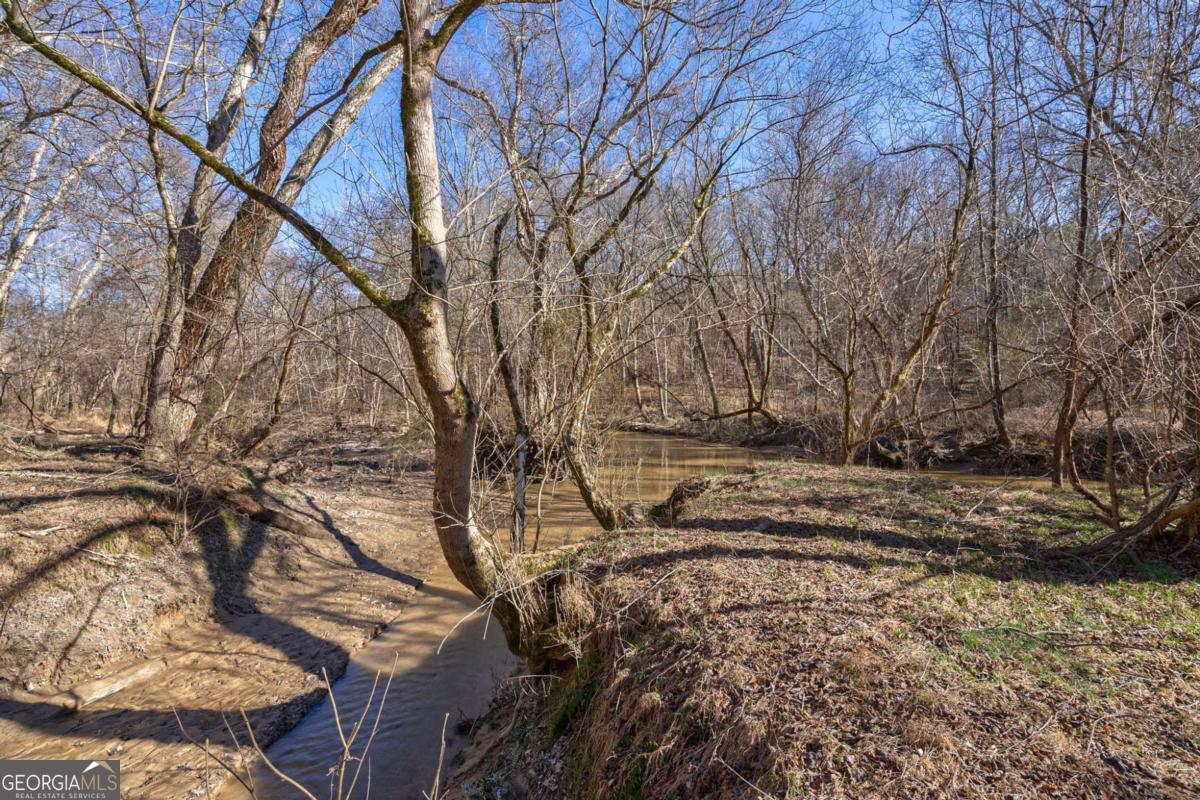 626 Ruffs Road Carlton, GA 30627 - Photo 61 of 83