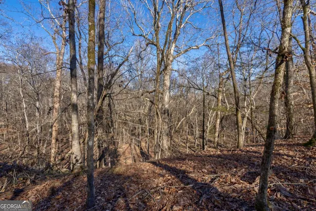 $878,500 | 626 Ruffs Road, Carlton, GA 30627