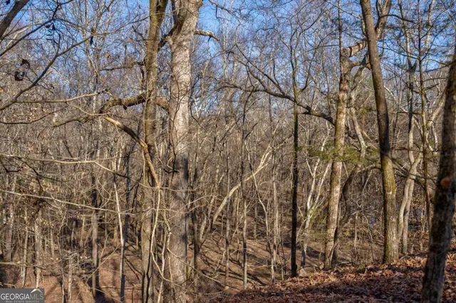 $878,500 | 626 Ruffs Road, Carlton, GA 30627