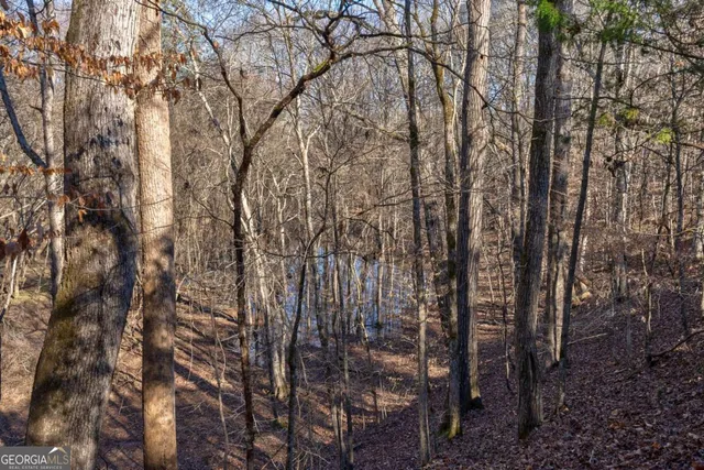 $878,500 | 626 Ruffs Road, Carlton, GA 30627