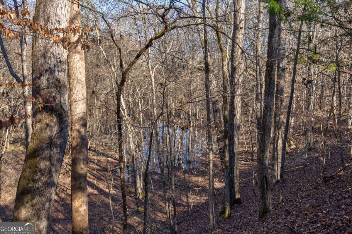 626 Ruffs Road Carlton, GA 30627 - Photo 64 of 83