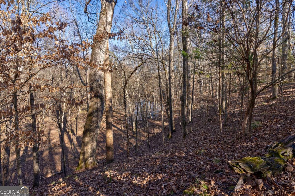 626 Ruffs Road Carlton, GA 30627 - Photo 65 of 83