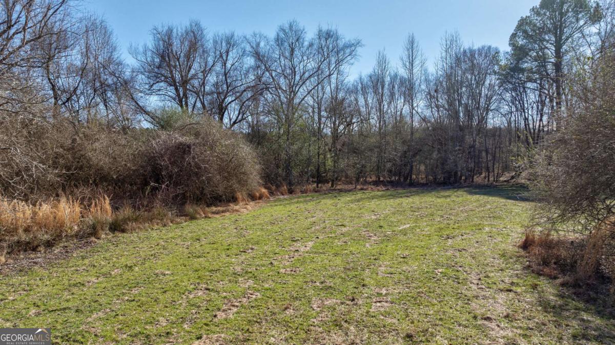 626 Ruffs Road Carlton, GA 30627 - Photo 73 of 83