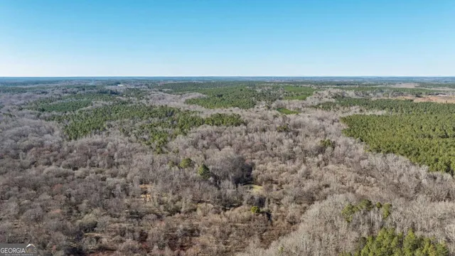 $878,500 | 626 Ruffs Road, Carlton, GA 30627