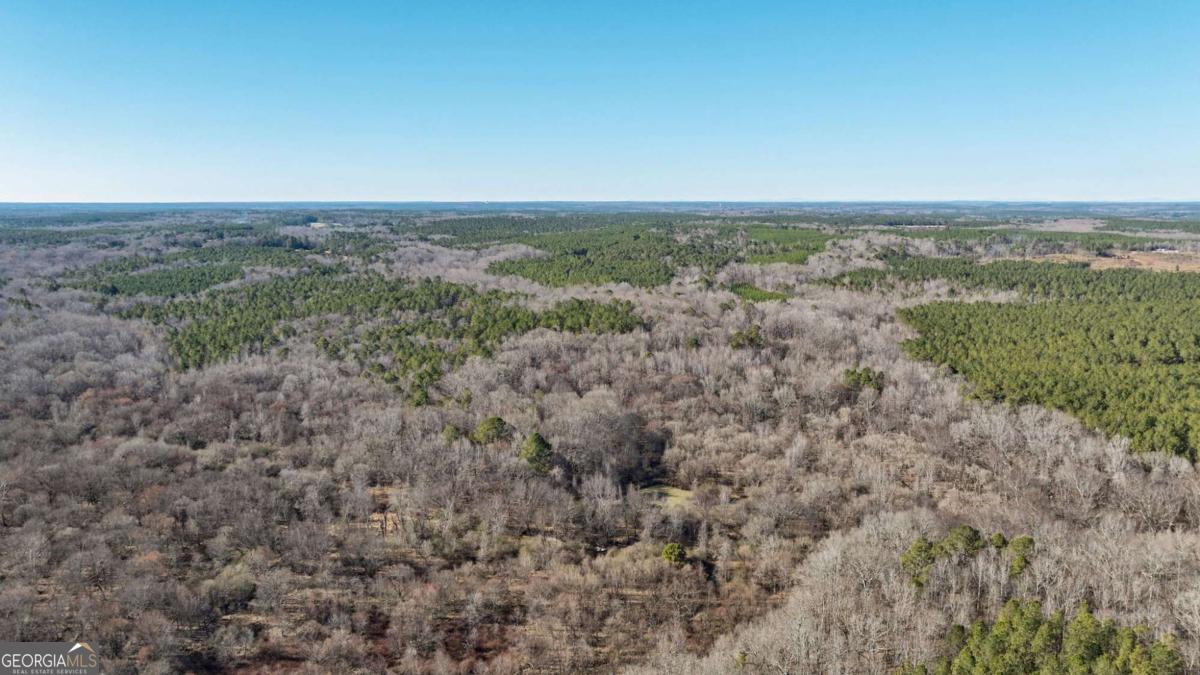 626 Ruffs Road Carlton, GA 30627 - Photo 75 of 83