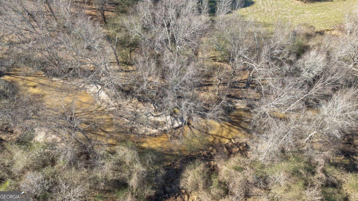 626 Ruffs Road Carlton, GA 30627 - Photo 76 of 83