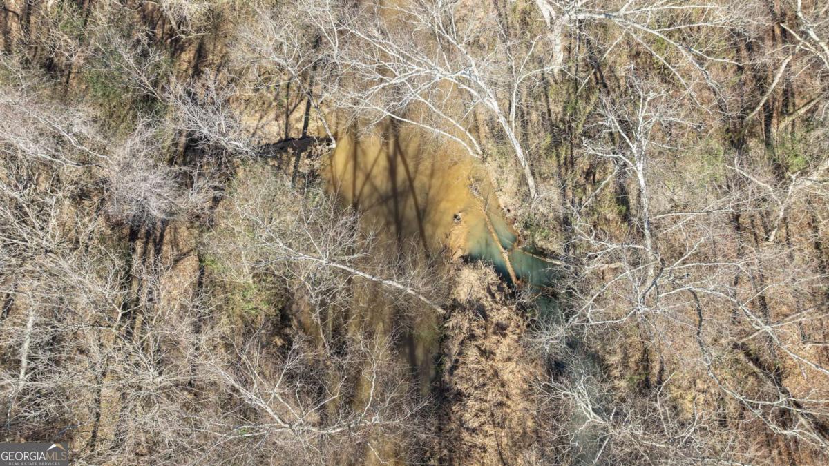 626 Ruffs Road Carlton, GA 30627 - Photo 78 of 83