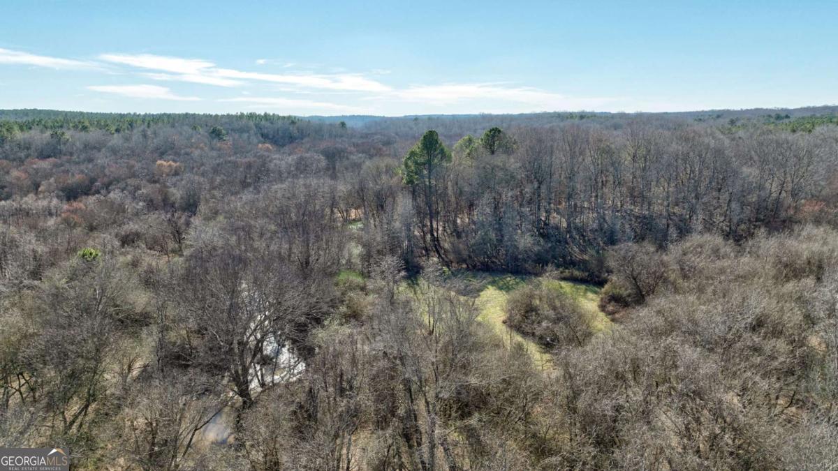 626 Ruffs Road Carlton, GA 30627 - Photo 80 of 83