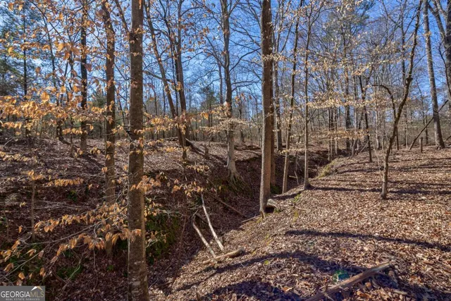 $878,500 | 626 Ruffs Road, Carlton, GA 30627