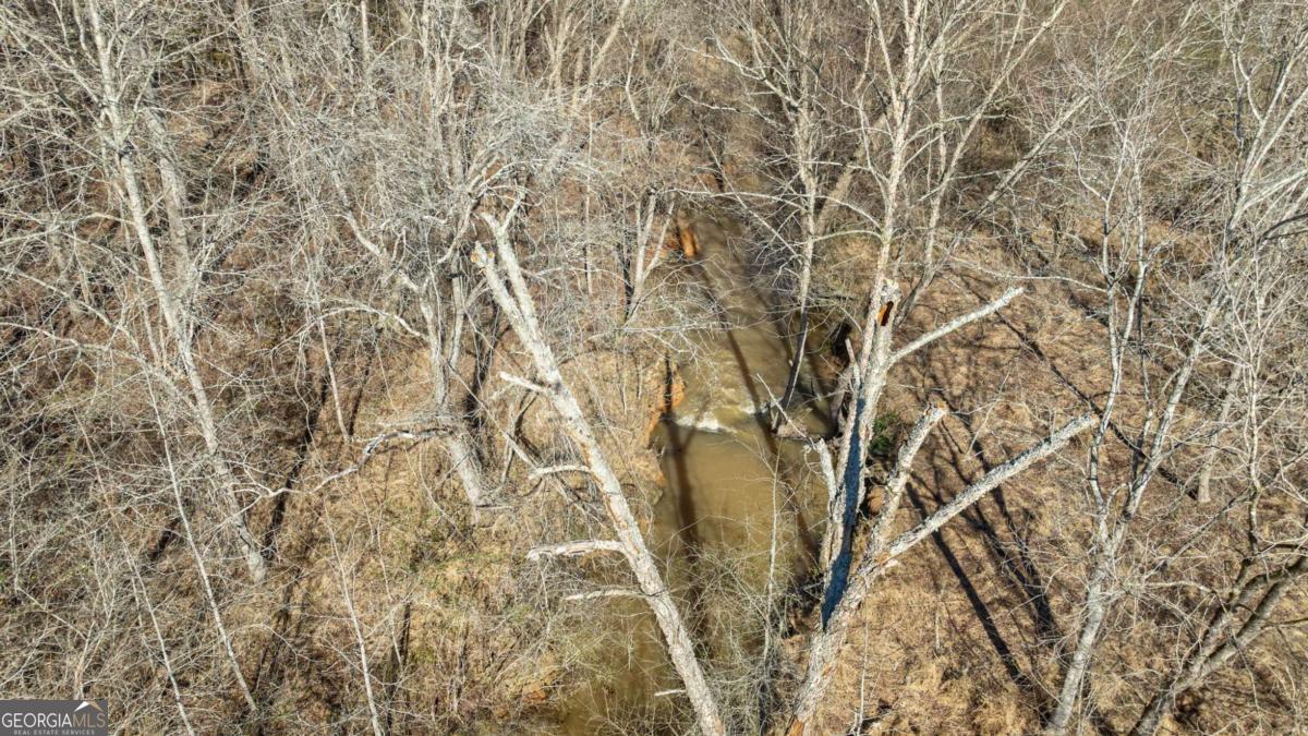 626 Ruffs Road Carlton, GA 30627 - Photo 81 of 83