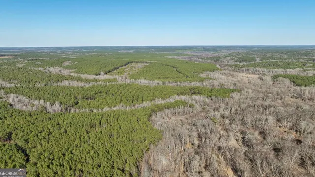 $878,500 | 626 Ruffs Road, Carlton, GA 30627