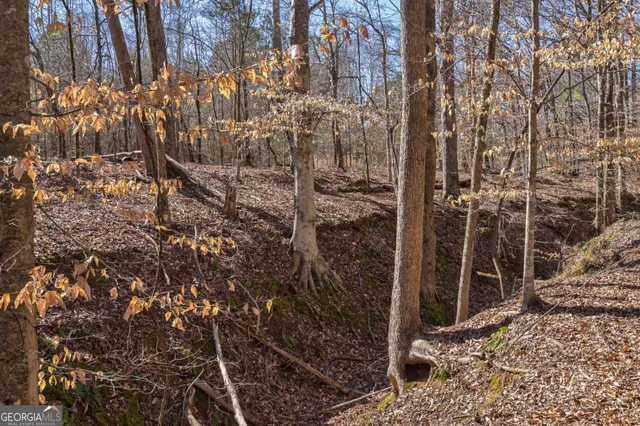 $878,500 | 626 Ruffs Road, Carlton, GA 30627