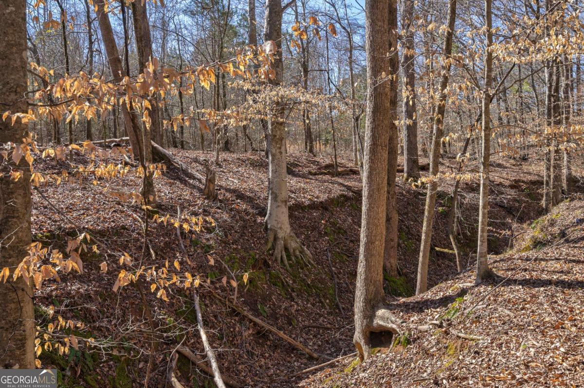 626 Ruffs Road Carlton, GA 30627 - Photo 9 of 83