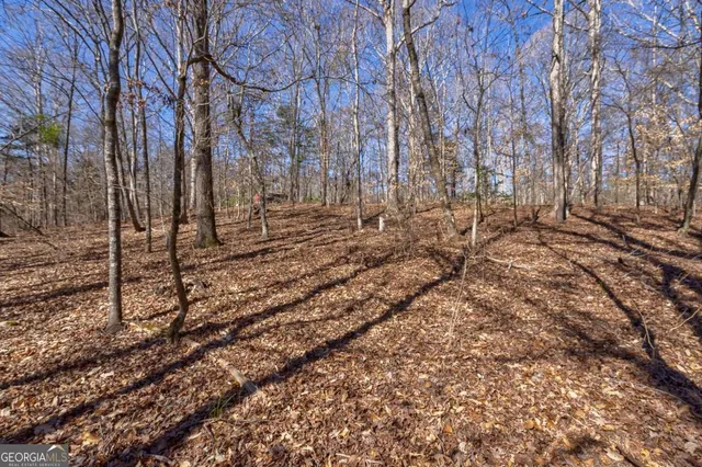 $878,500 | 626 Ruffs Road, Carlton, GA 30627