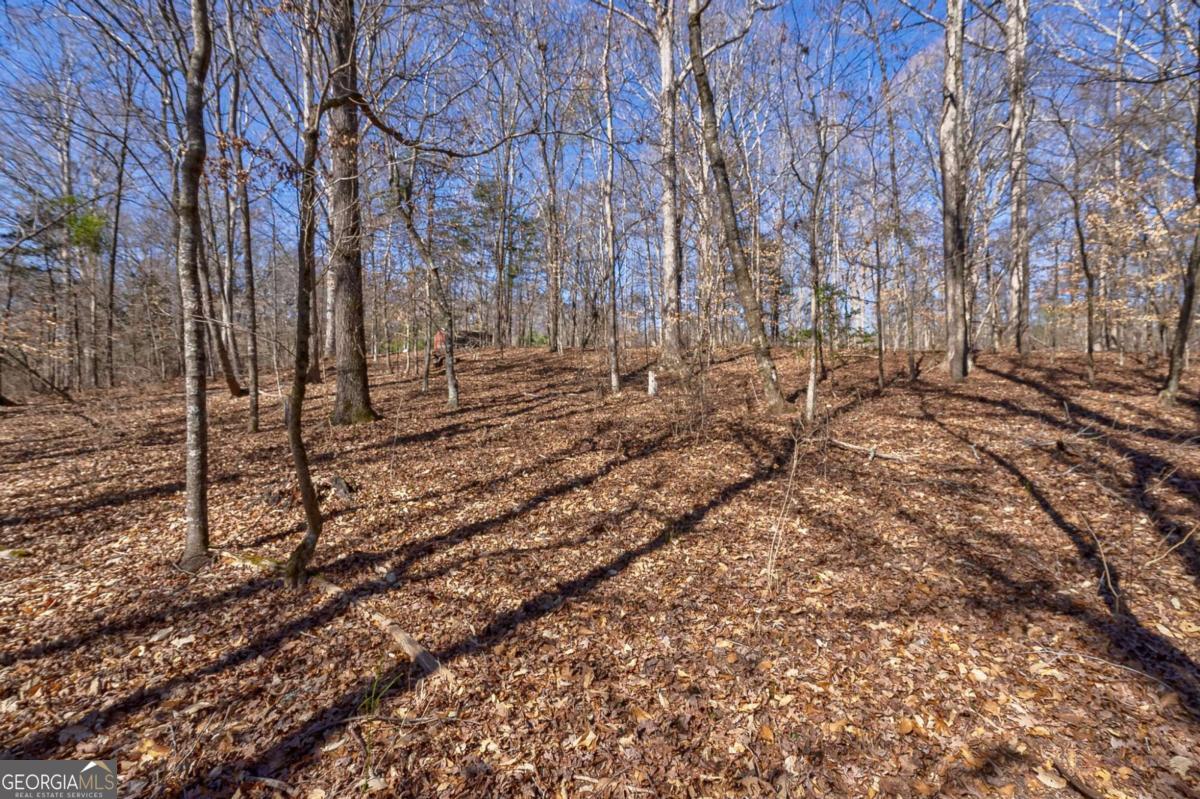 626 Ruffs Road Carlton, GA 30627 - Photo 10 of 83