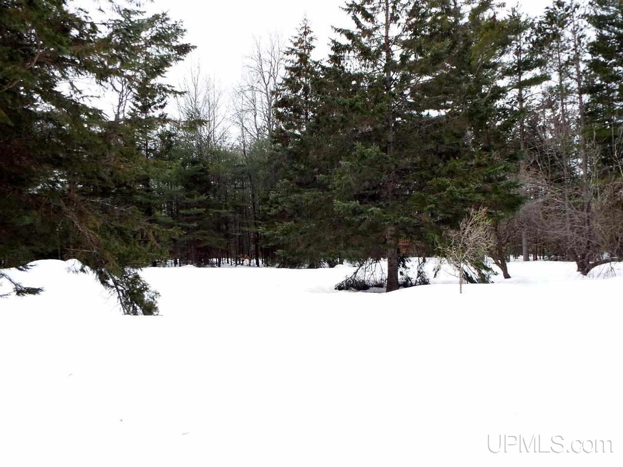 11333 West Co Road Manistique, MI 49854 - Photo 28 of 38
