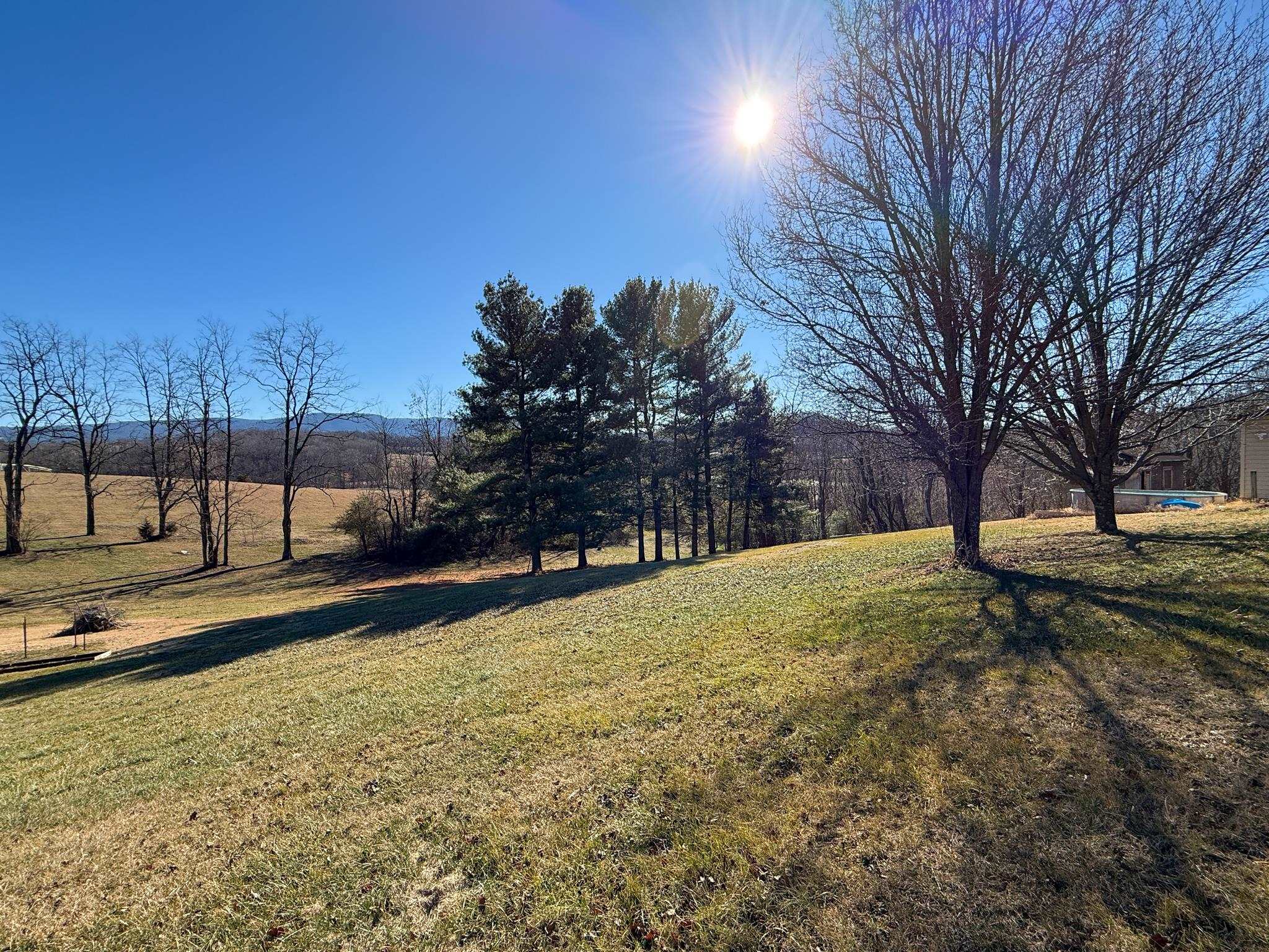 13 Indian Ridge Road Greenville, VA 24440 - Photo 17 of 17 a view of a yard with trees