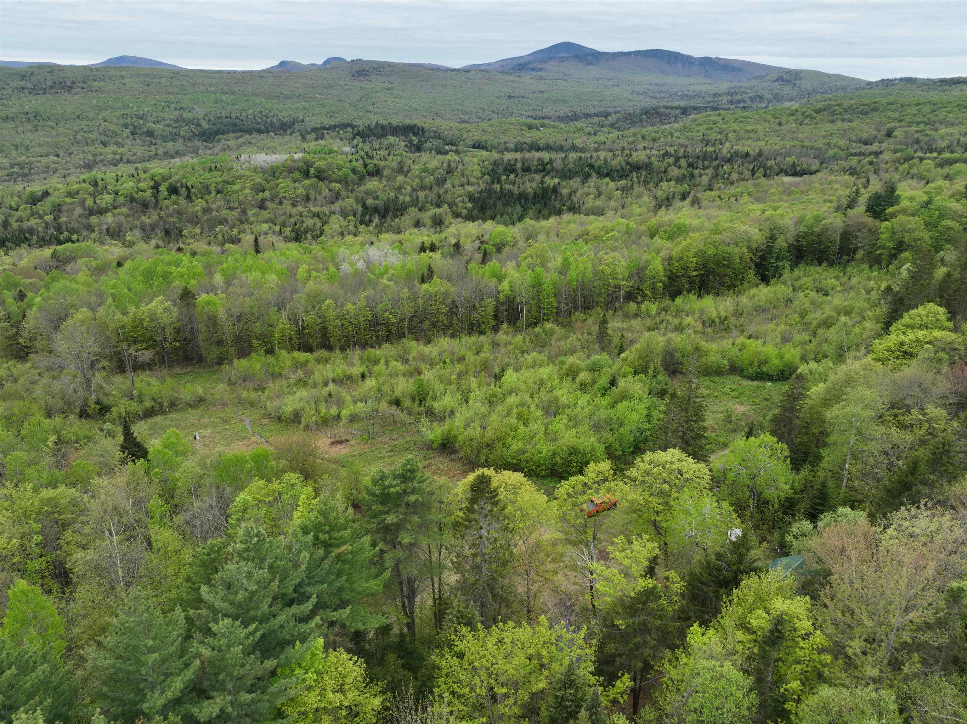 - Beck Pond Road East Haven, VT 05837 - Photo 1 of 40 Gallery Image 1