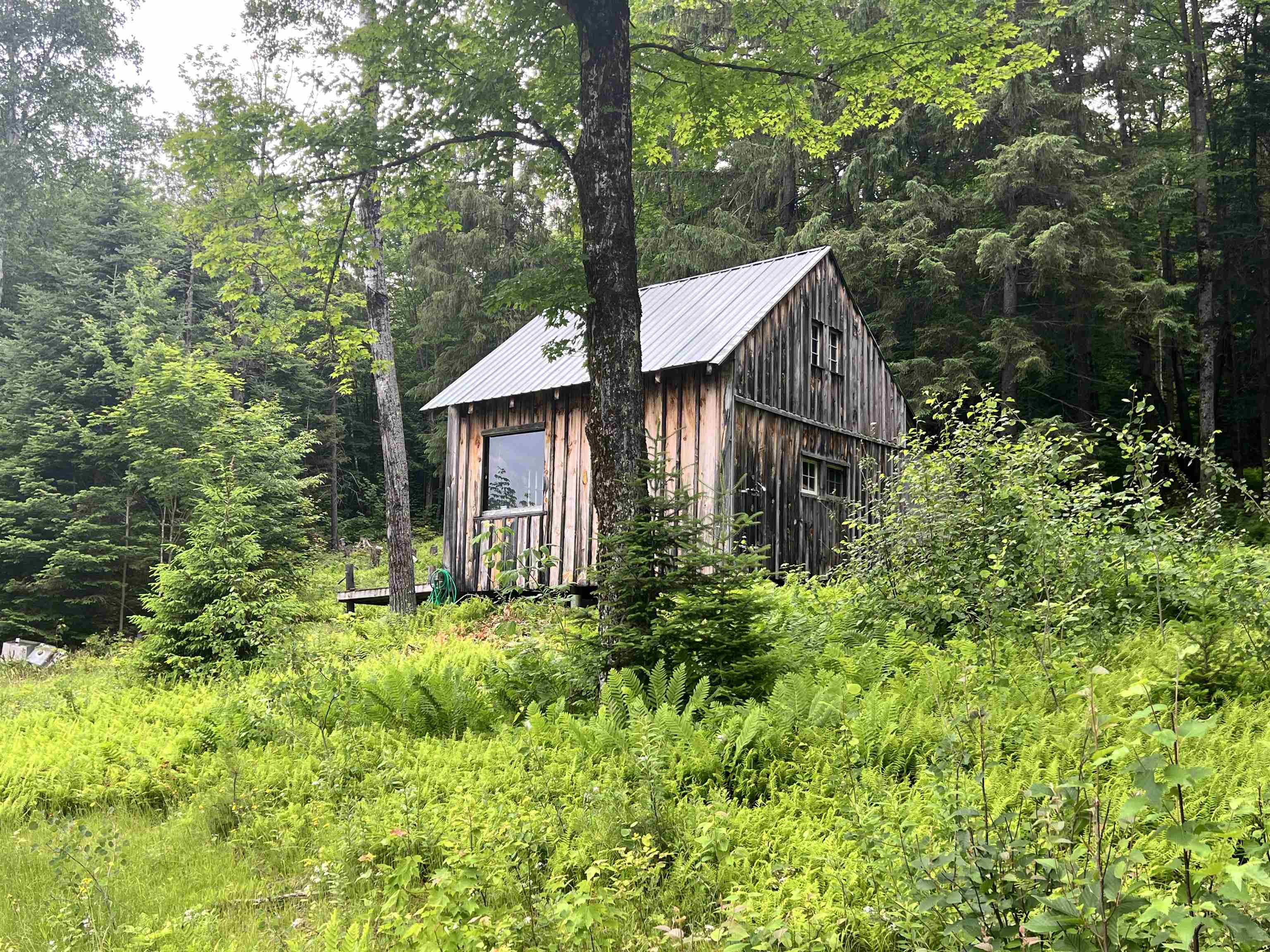 - Beck Pond Road East Haven, VT 05837 - Photo 5 of 40 Gallery Image 5