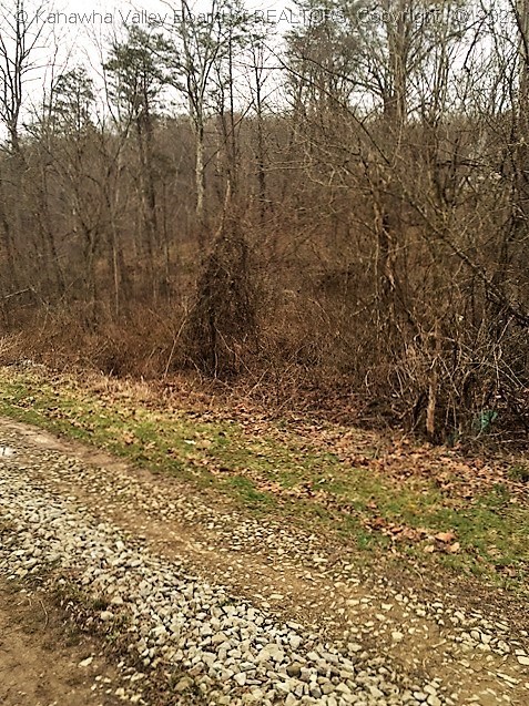 1283 Upper Gore Addition Road Tornado, WV 25202 - Photo 15 of 22 Gallery Image 15