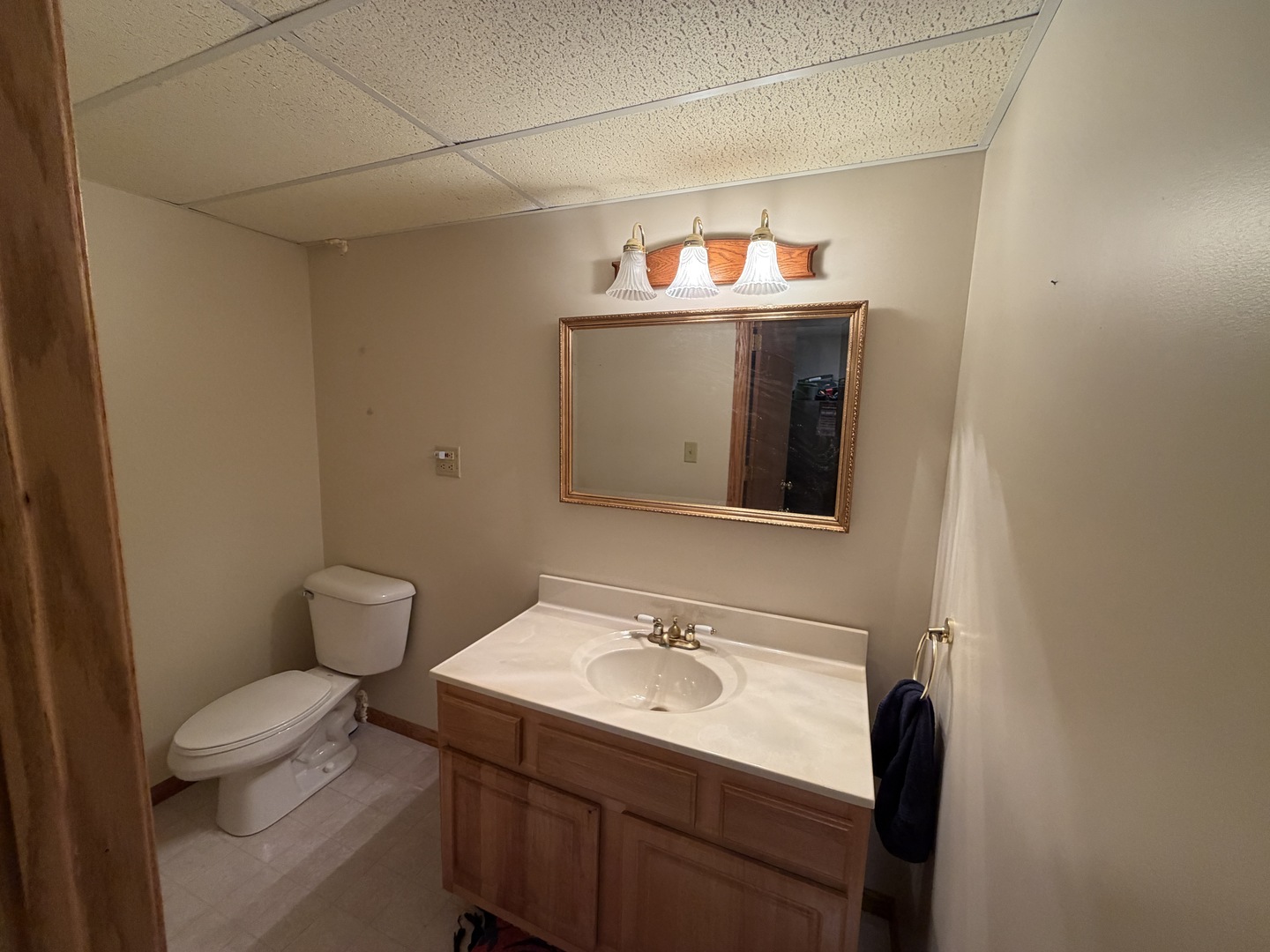 25038 Timber Court Elwood, IL 60421 - Photo 27 of 33