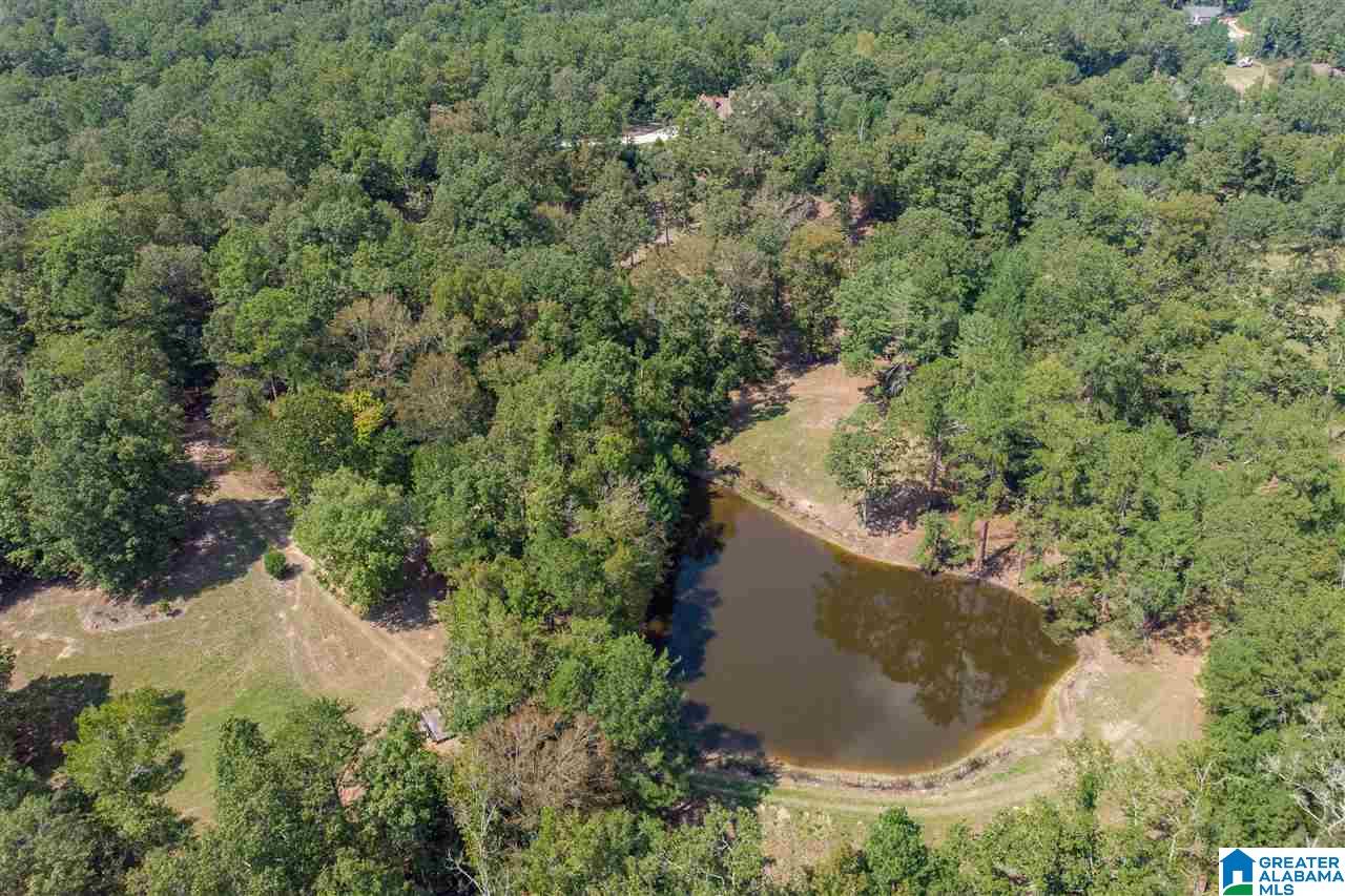 7476 Bear Creek Road Sterrett, AL 35147 - Photo 50 of 50