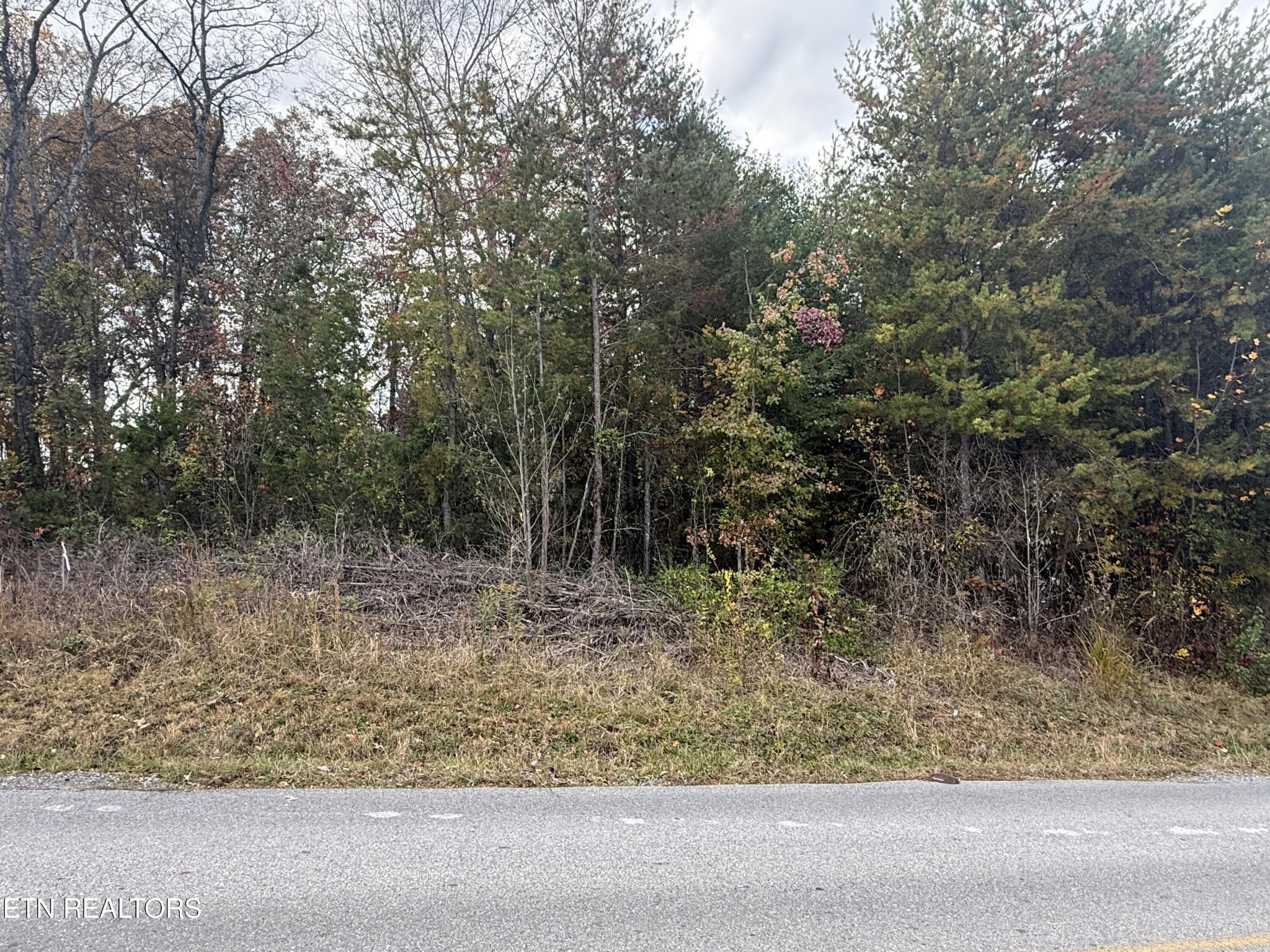 0 Nina Delozier Road Maryville, TN 37804 - Photo 16 of 29 Gallery Image 16