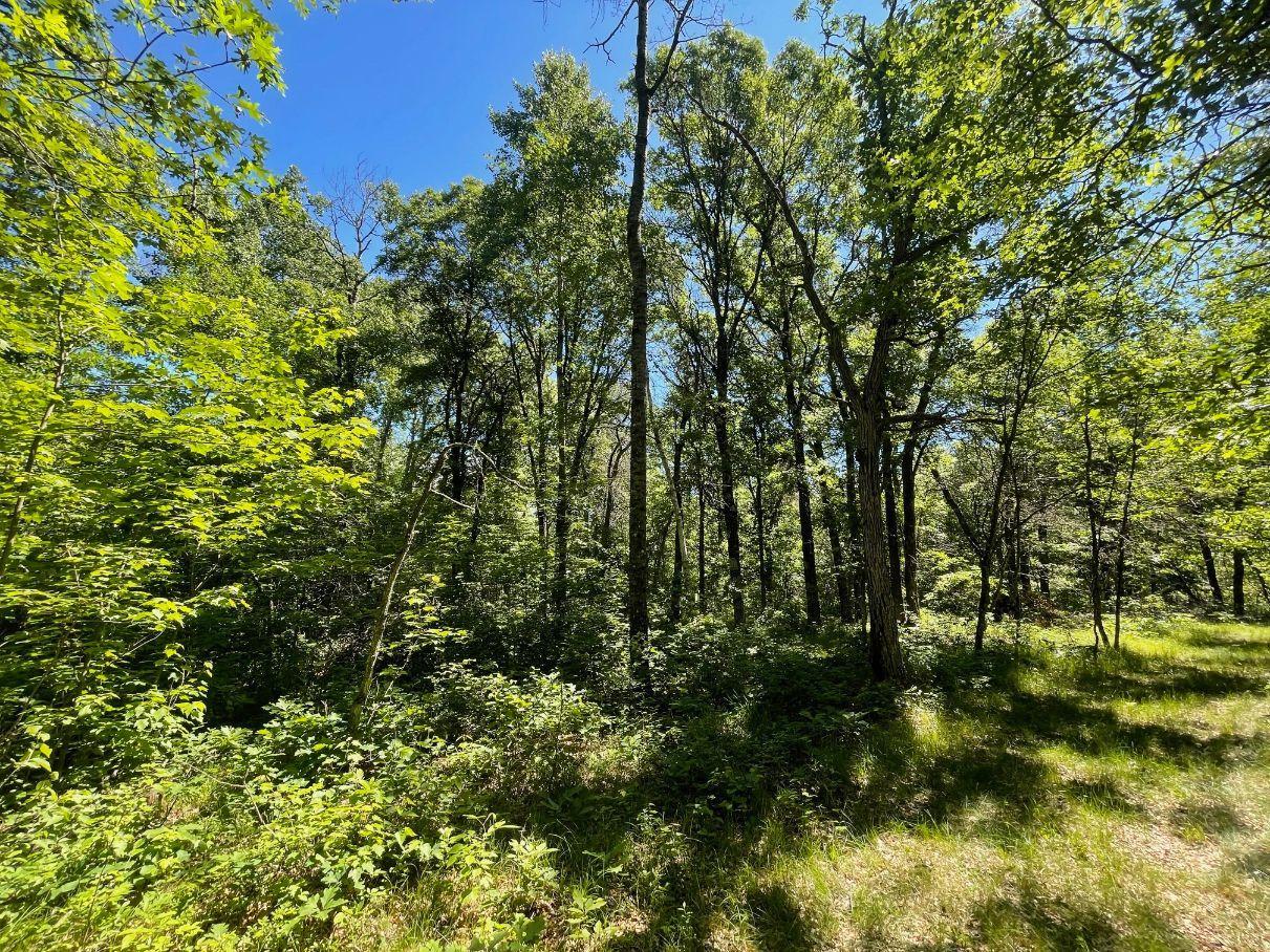 12997 East Mail Road Gordon, WI 54838 - Photo 49 of 65