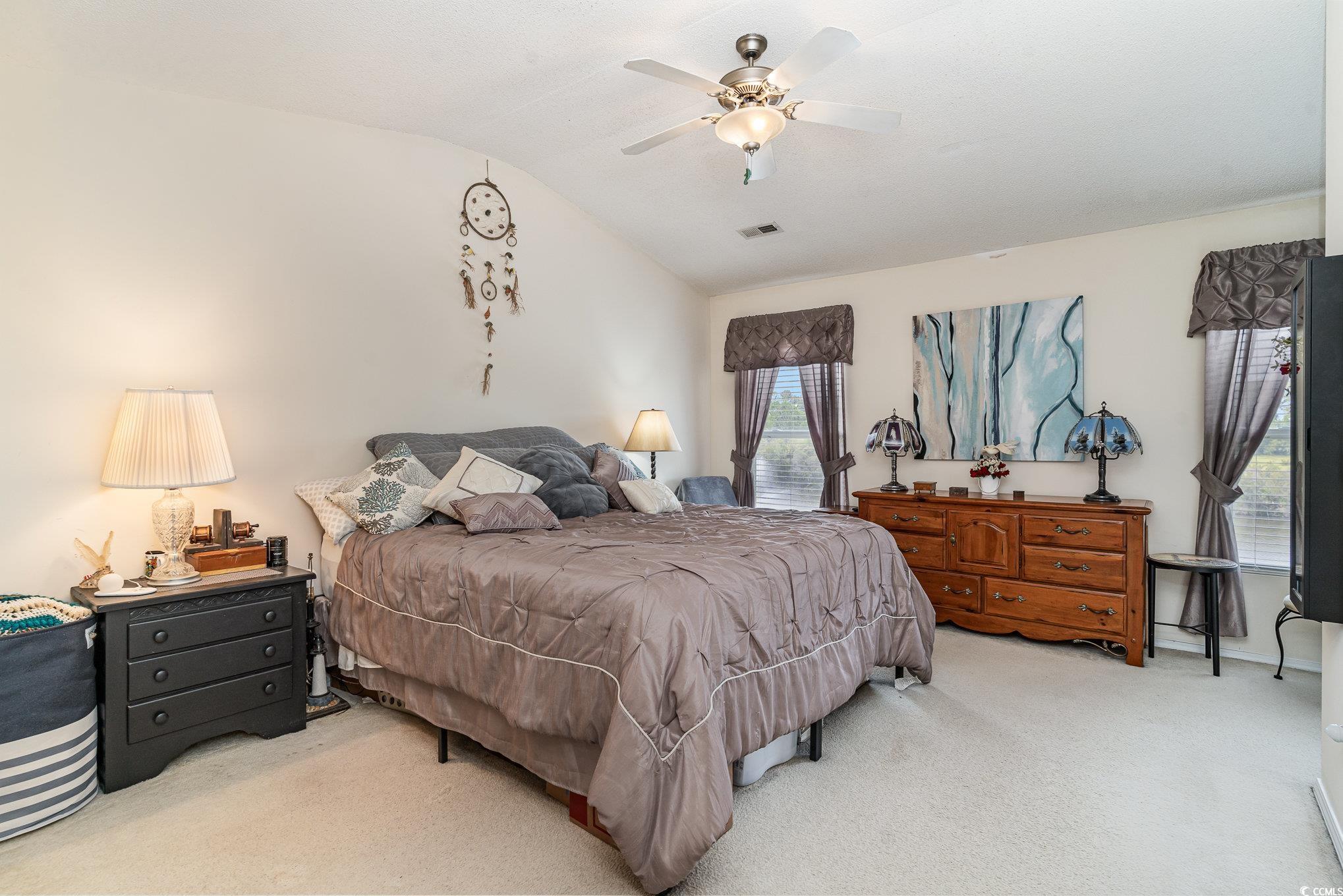 316 Kiskadee Loop, Unit 9E Conway, SC 29526 - Photo 19 of 40 Bedroom featuring light carpet, vaulted ceiling, a