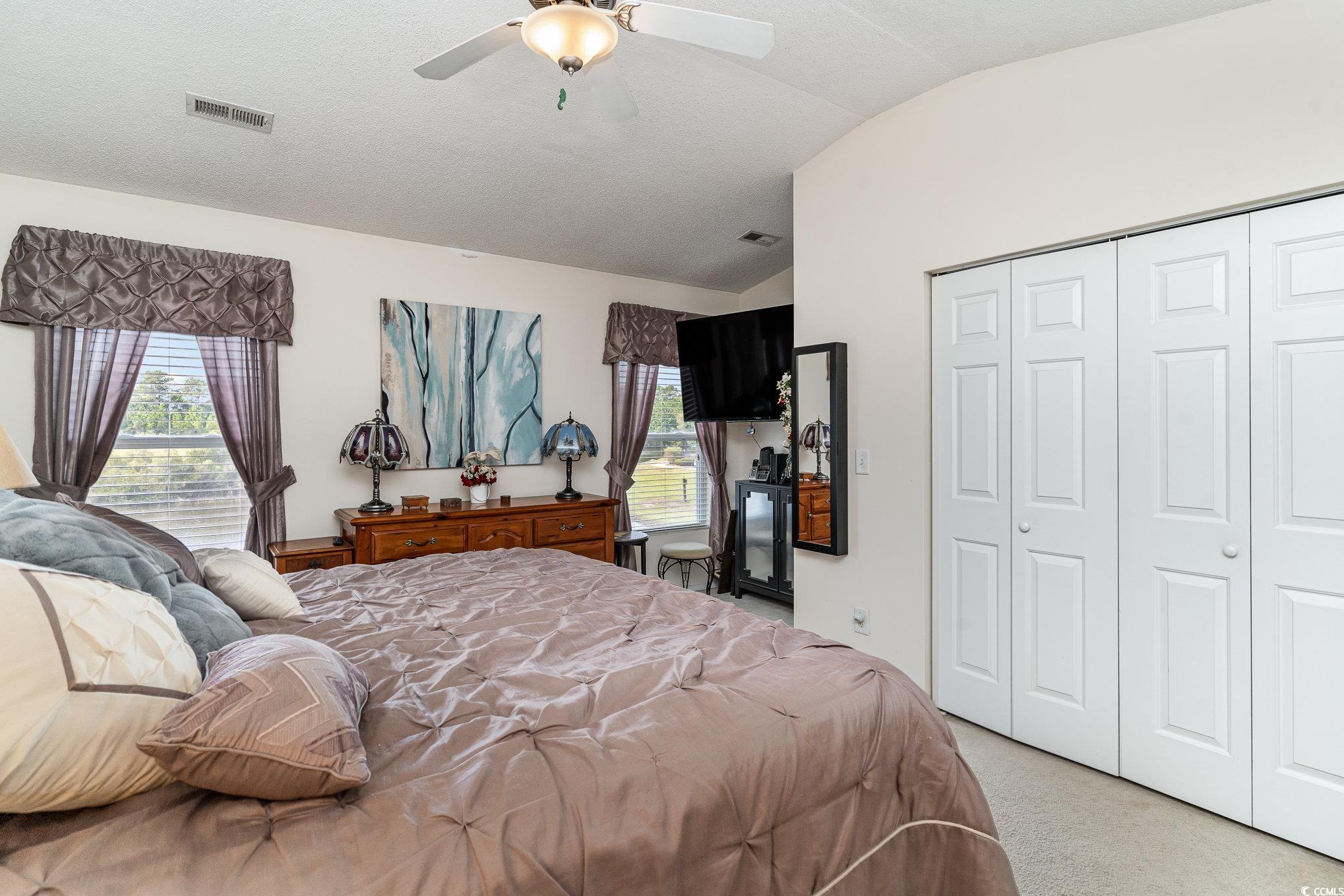 316 Kiskadee Loop, Unit 9E Conway, SC 29526 - Photo 20 of 40 Bedroom with light colored carpet, lofted ceiling,