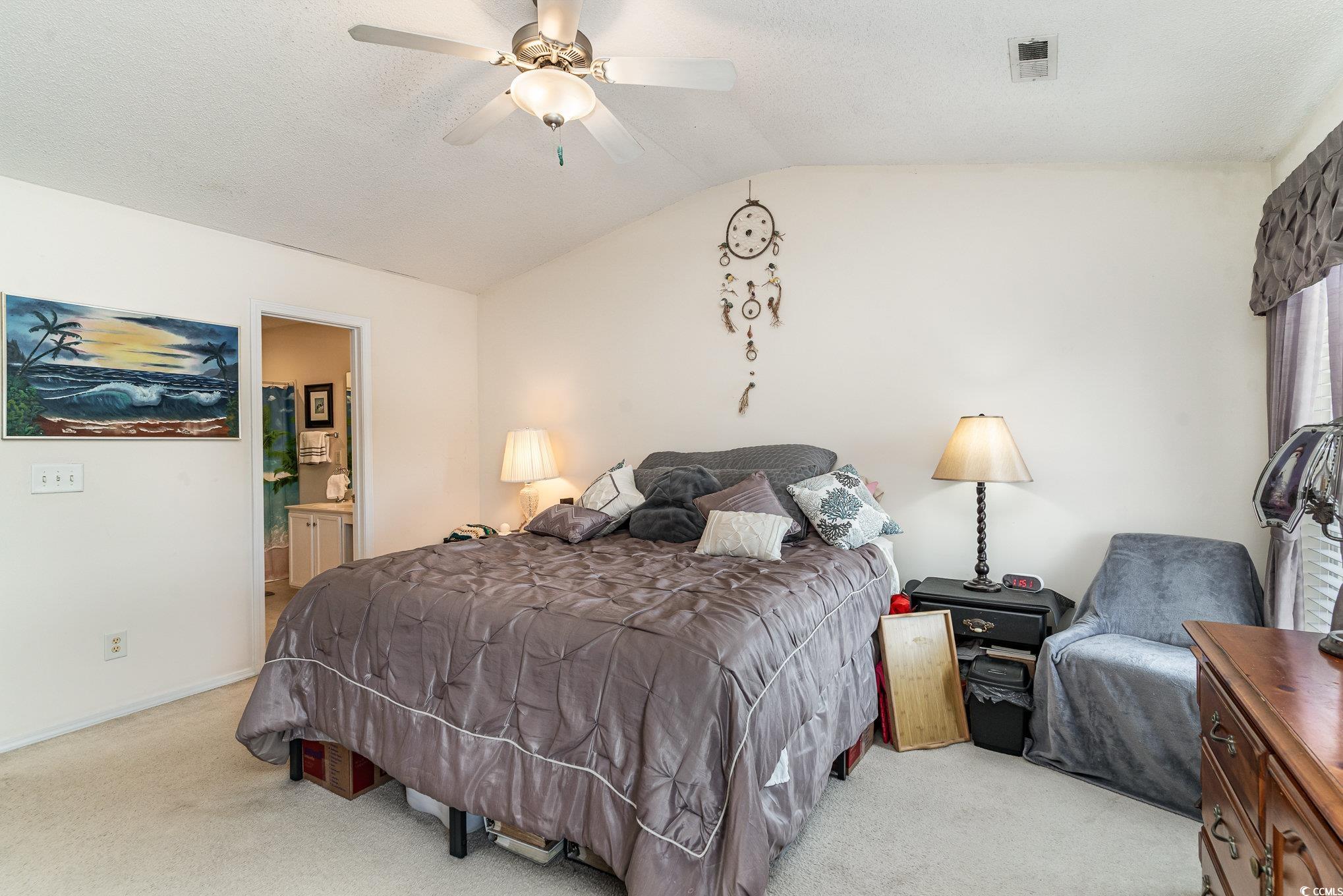 316 Kiskadee Loop, Unit 9E Conway, SC 29526 - Photo 21 of 40 Bedroom featuring ensuite bath, vaulted ceiling, l