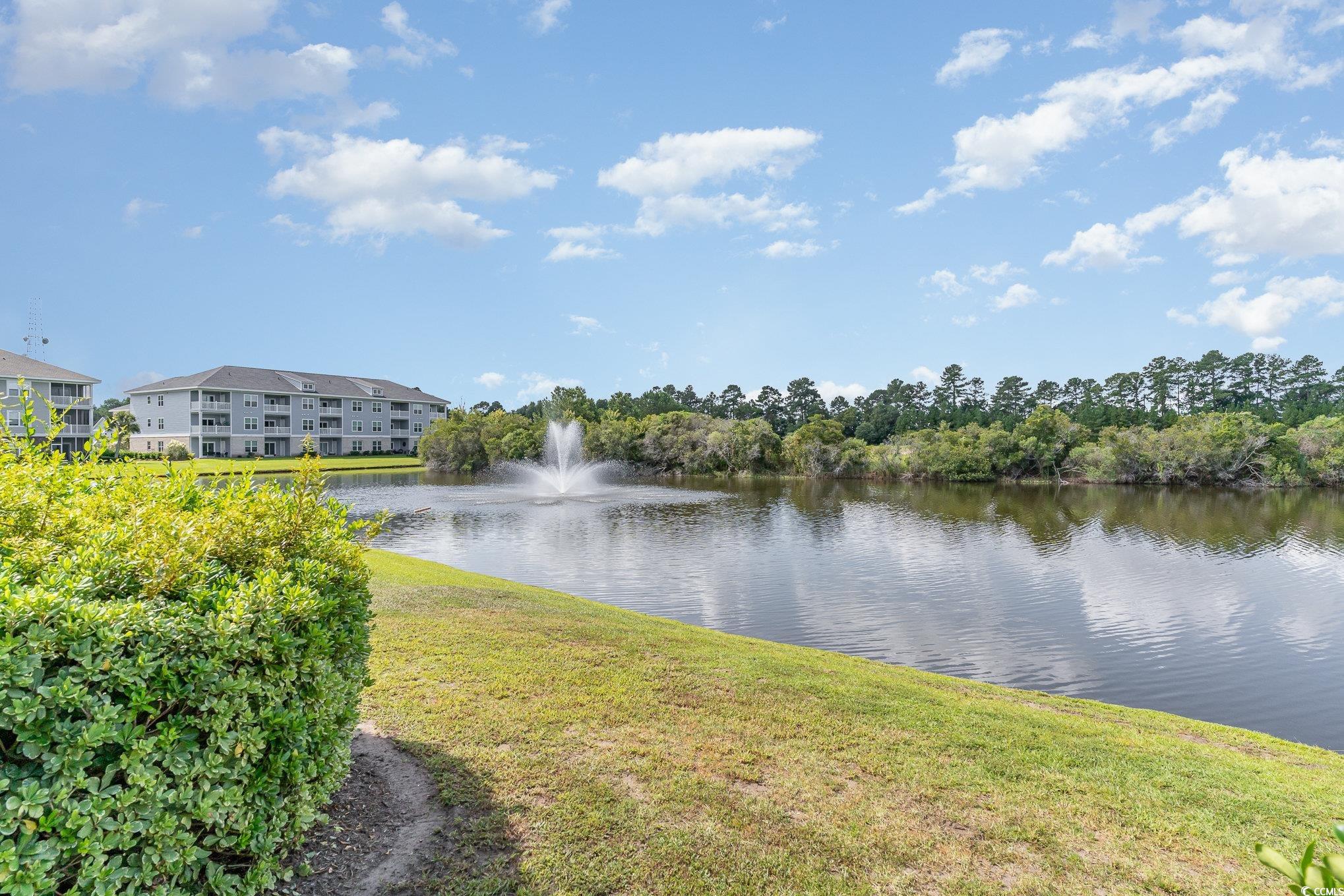 316 Kiskadee Loop, Unit 9E Conway, SC 29526 - Photo 28 of 40 Property view of water