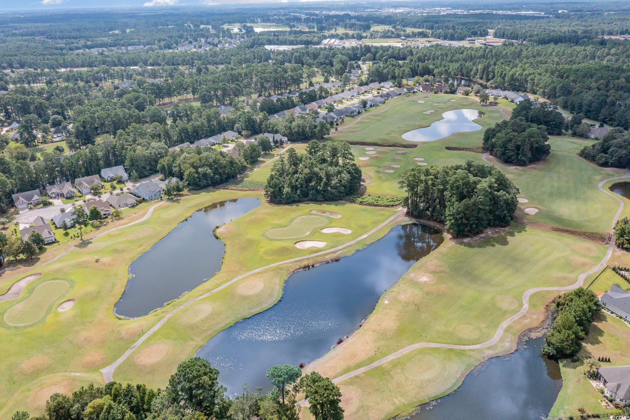 316 Kiskadee Loop, Unit 9E Conway, SC 29526 - Photo 36 of 40 Drone / aerial view featuring a water view