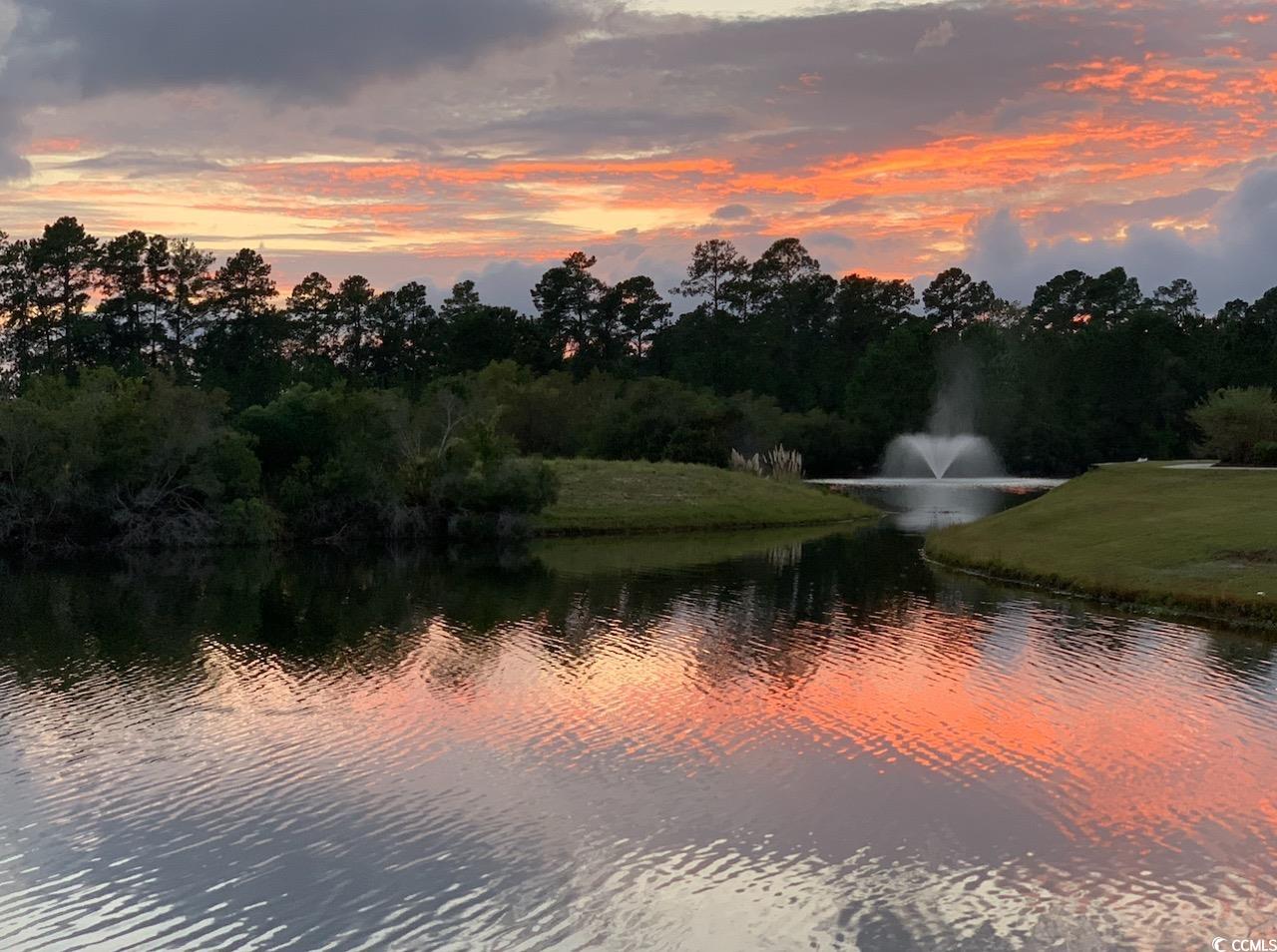316 Kiskadee Loop, Unit 9E Conway, SC 29526 - Photo 40 of 40 Water view