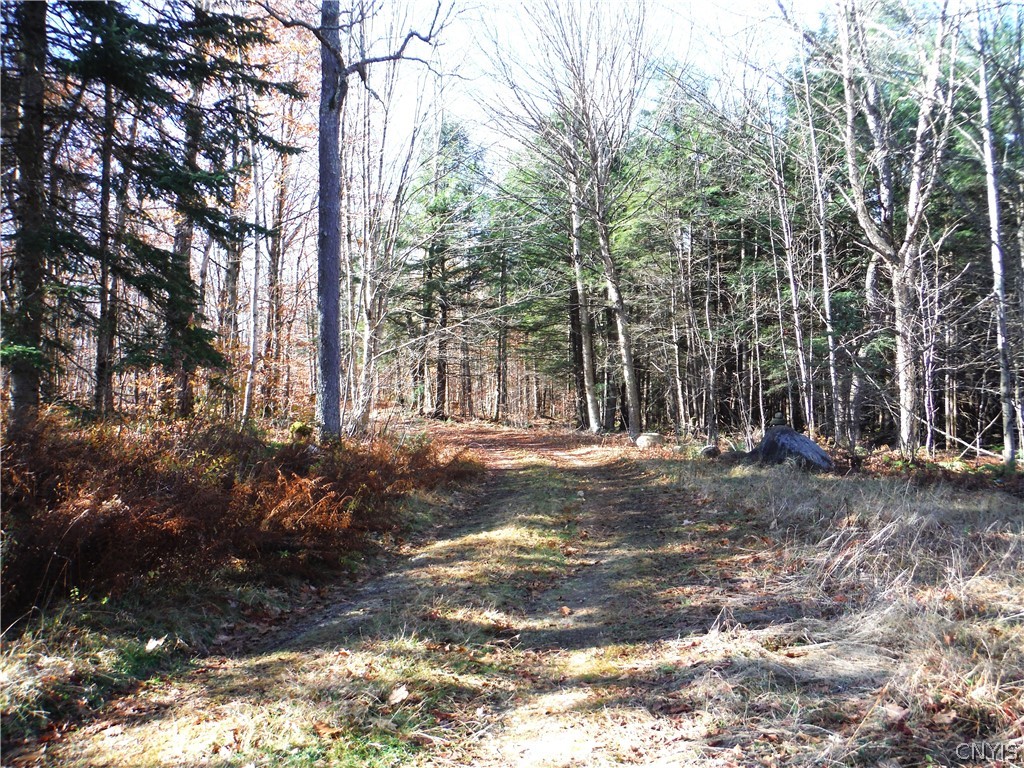 X Buck Lake Road Port Leyden, NY 13433 - Photo 43 of 50 road to cabin
