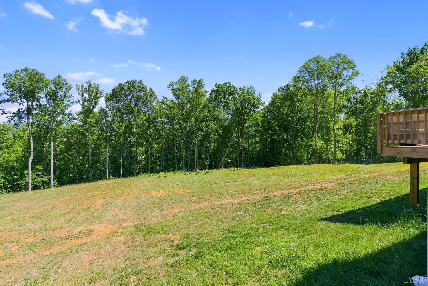 2050 Turkey Mountain Road Amherst, VA 24521 - Photo 43 of 59 Gallery Image 43